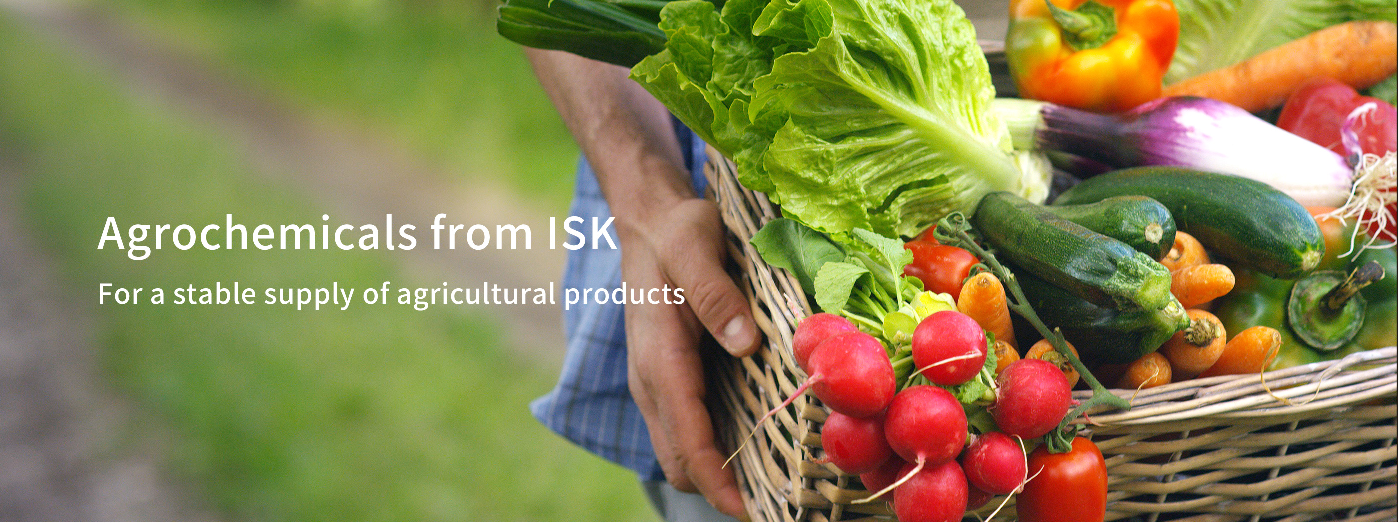 Agrochemicals from ISK For a stable supply of agricultural products