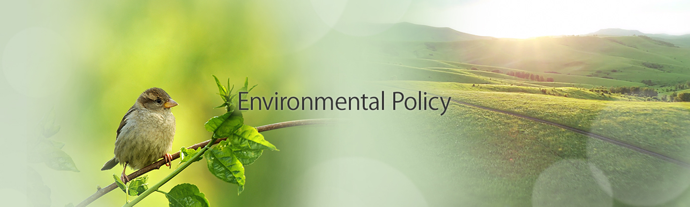 environmental policy