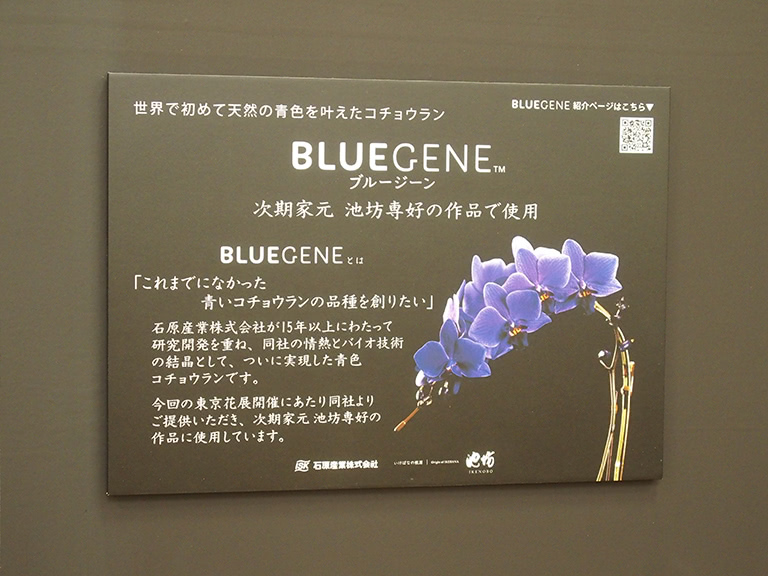 Blue Gene説明用パネル