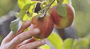 Corporate Profile Movie: Image of Organic Chemicals Business