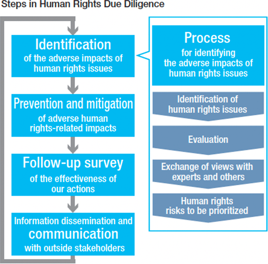 Figure: Steps in Human Rights Due Diligence