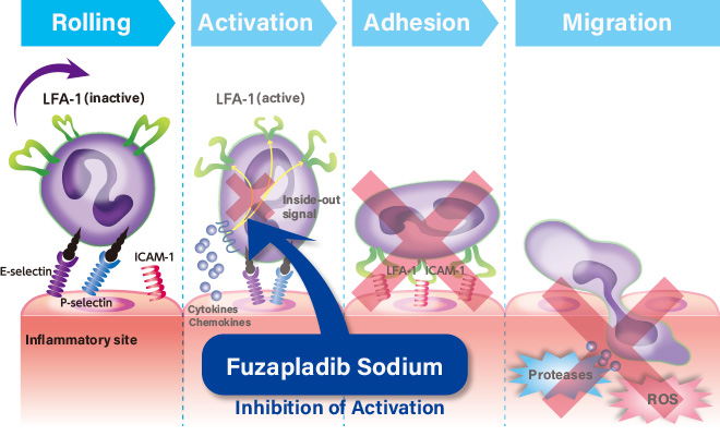 Figure: Fuzapladib Sodium Hydrate