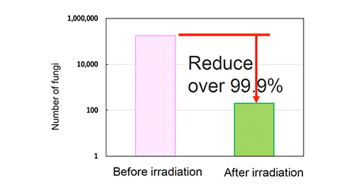 Graph: Antibacterial activity test (Staphylococcus aureus )