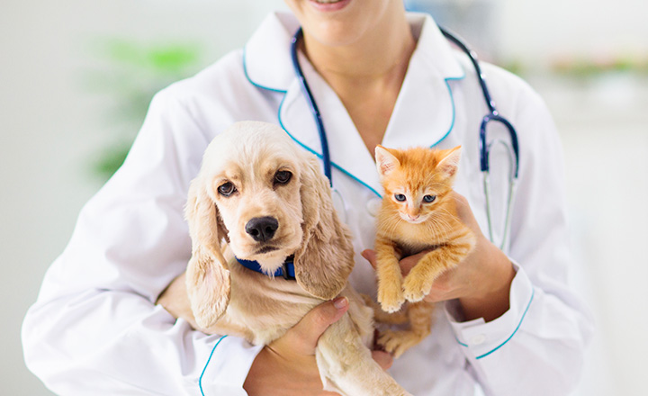 Image of Animal Health Products