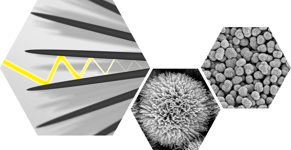 super black pigment with a sea urchin-like spine structure, which is an ultra-low reflectance structure