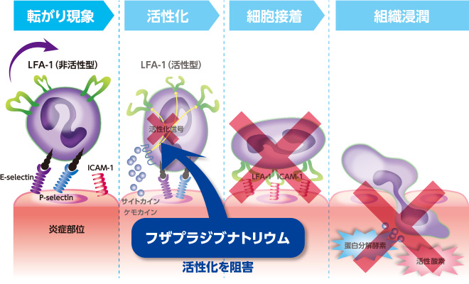 図：フザプラジブナトリウム水和物