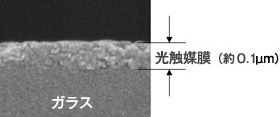 図：実際にクリーンなの工法（現場施工）によって形成された光触媒酸化チタン膜の電顕（SEM）像