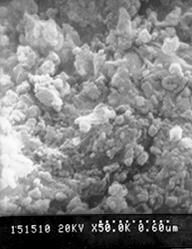 写真：酸化鉄の電子顕微鏡写真