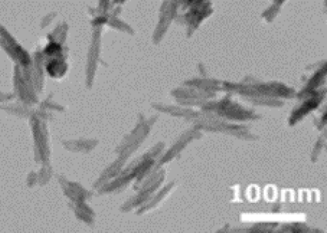 TEM画像:MPT-186(MPT187,186,136)
