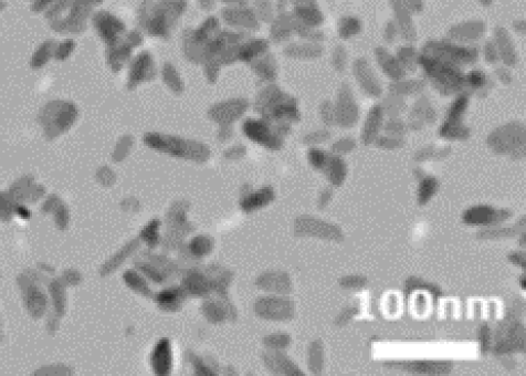 TEM画像：TTO-51(C)（51A,51C）