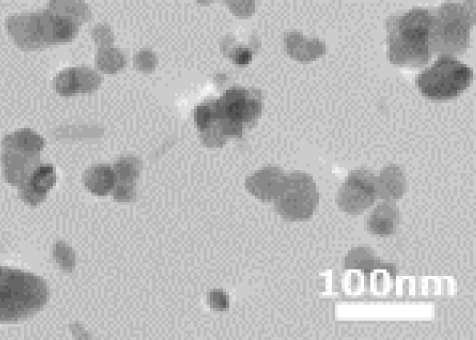 TEM画像:TTO-55(C)(55A,55C,55N)