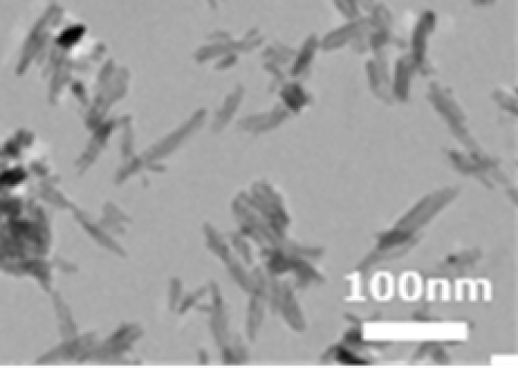 TEM画像:TTO-V-4(V5,V4)