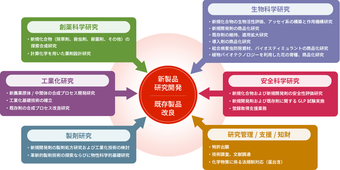 図：研究分野・体制